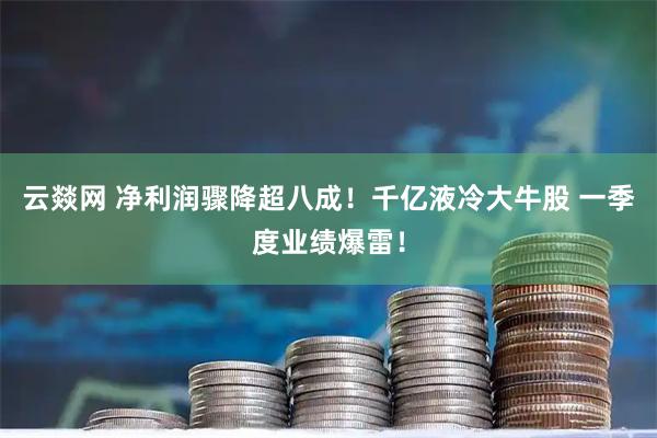 云燚网 净利润骤降超八成！千亿液冷大牛股 一季度业绩爆雷！